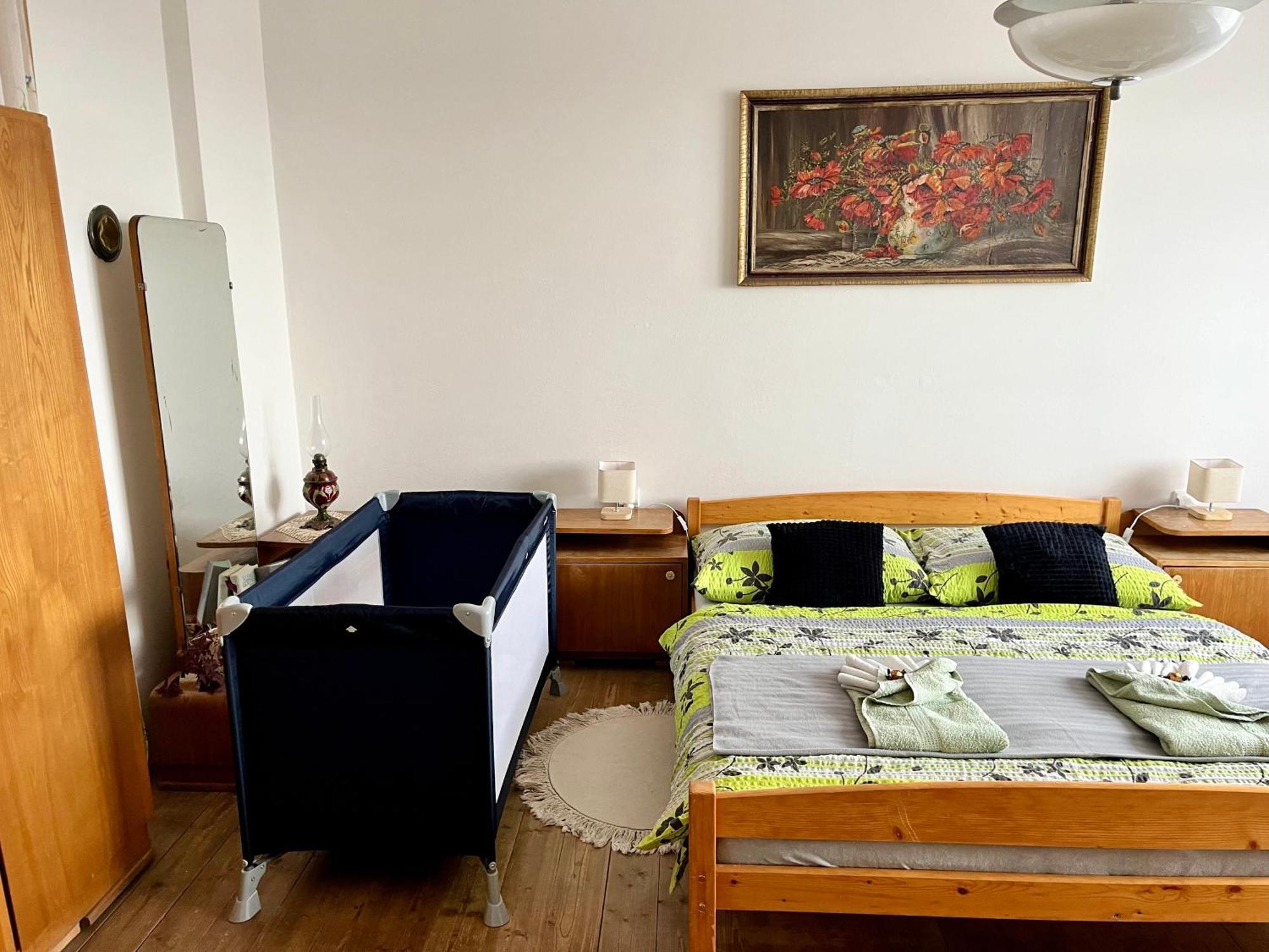 Slunny Byt S Krasnym Vyhledem Apartment Nove Mesto nad Metuji Ngoại thất bức ảnh