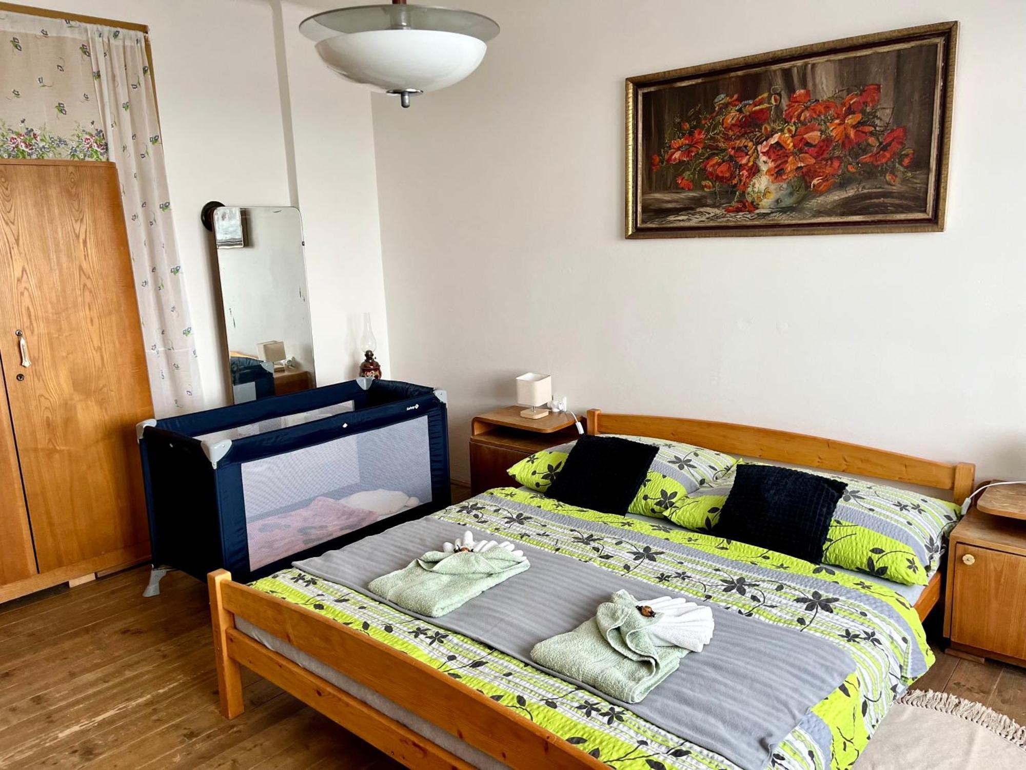 Slunny Byt S Krasnym Vyhledem Apartment Nove Mesto nad Metuji Ngoại thất bức ảnh